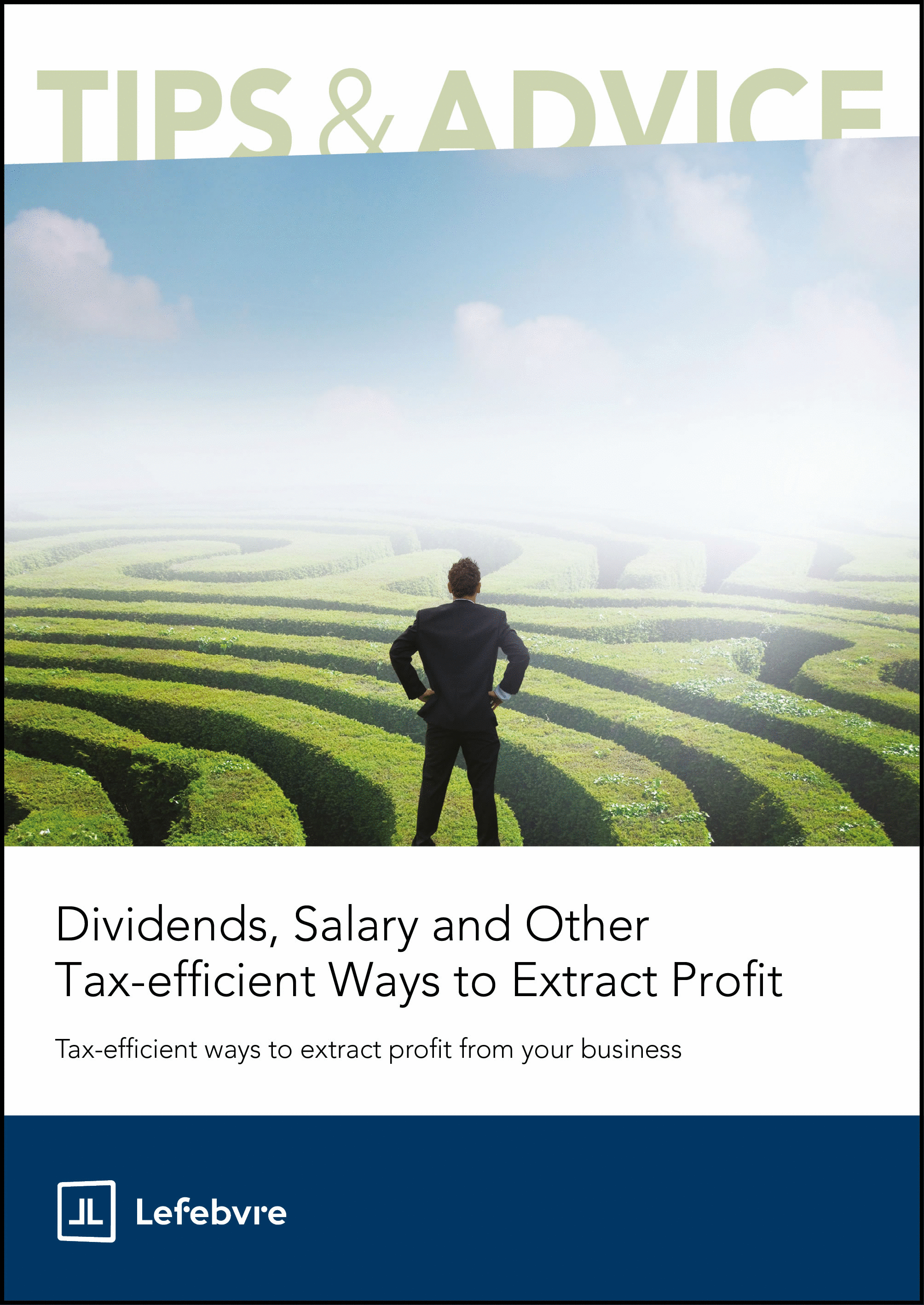 Book cover with a person looking at a green landscape, titled 'Tips & Advice' on tax-efficient profit extraction methods.